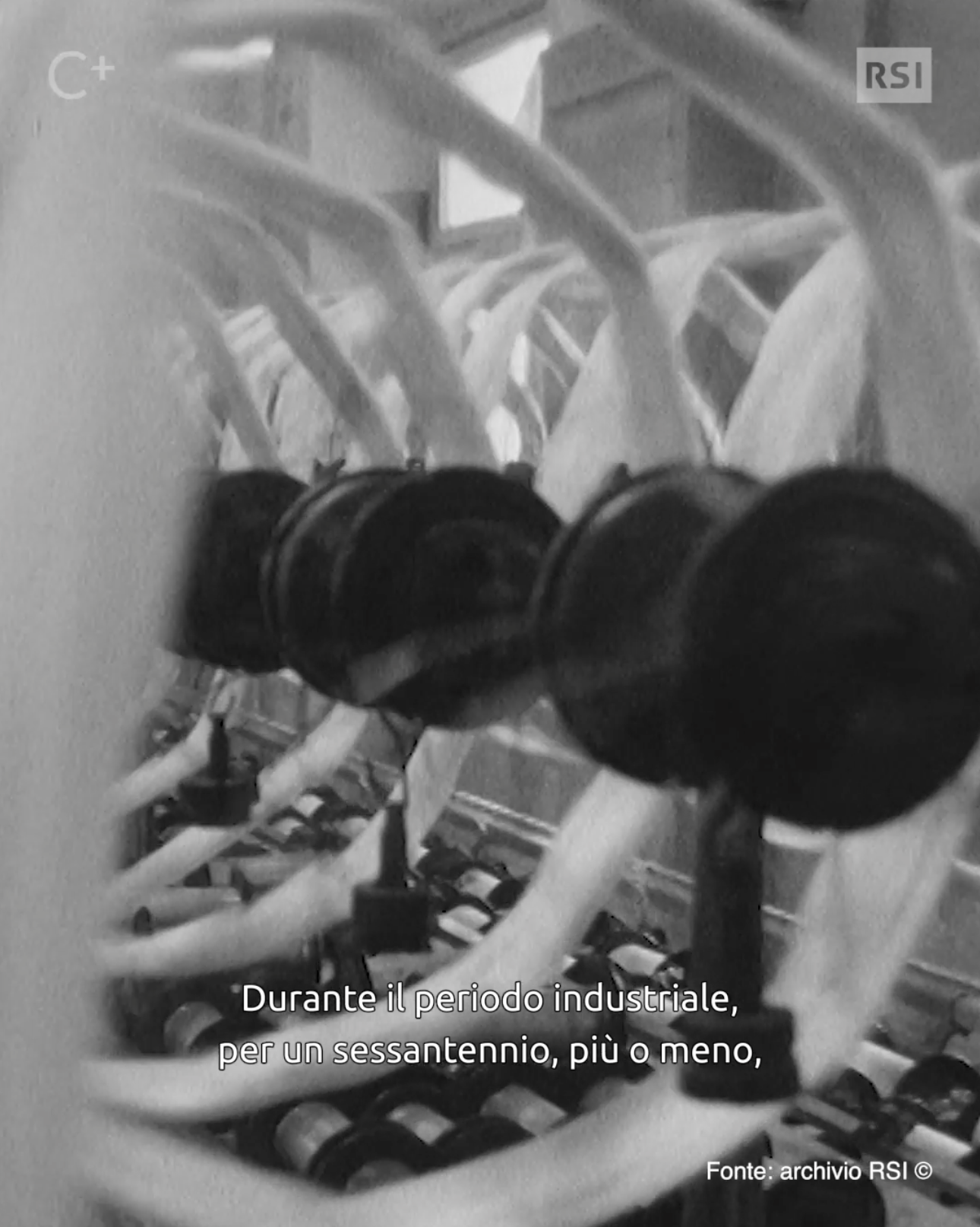 biblioteca